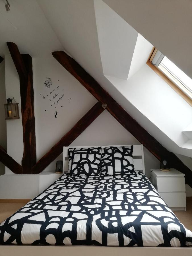 Apartamento Atelier Des Poemes. Montbéliard Exterior foto