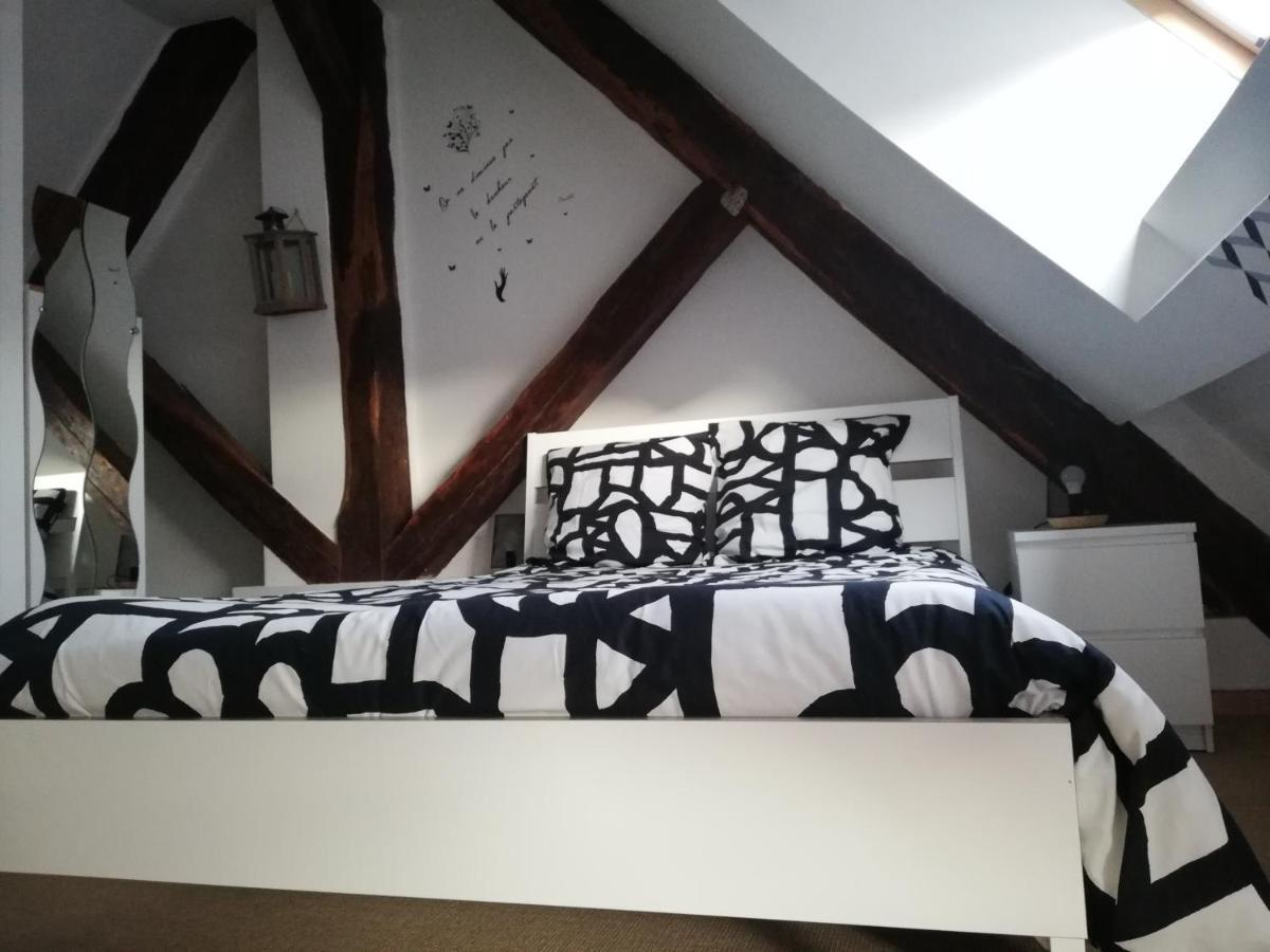 Apartamento Atelier Des Poemes. Montbéliard Exterior foto